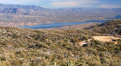 Roosevelt Lake, January 13, 2011